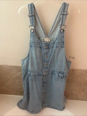 We The Free Light Blue Denim Button-Front Overall Dress